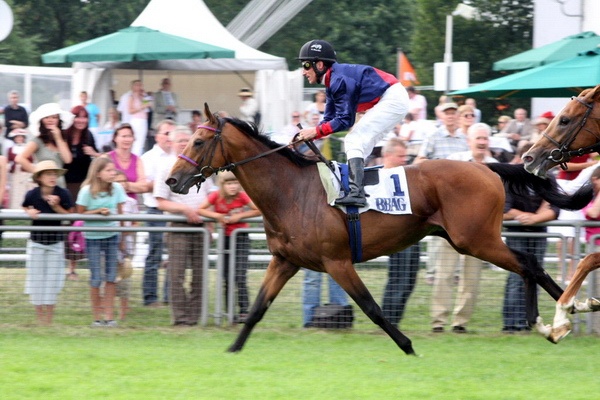 Ascot Renntag09   028.jpg